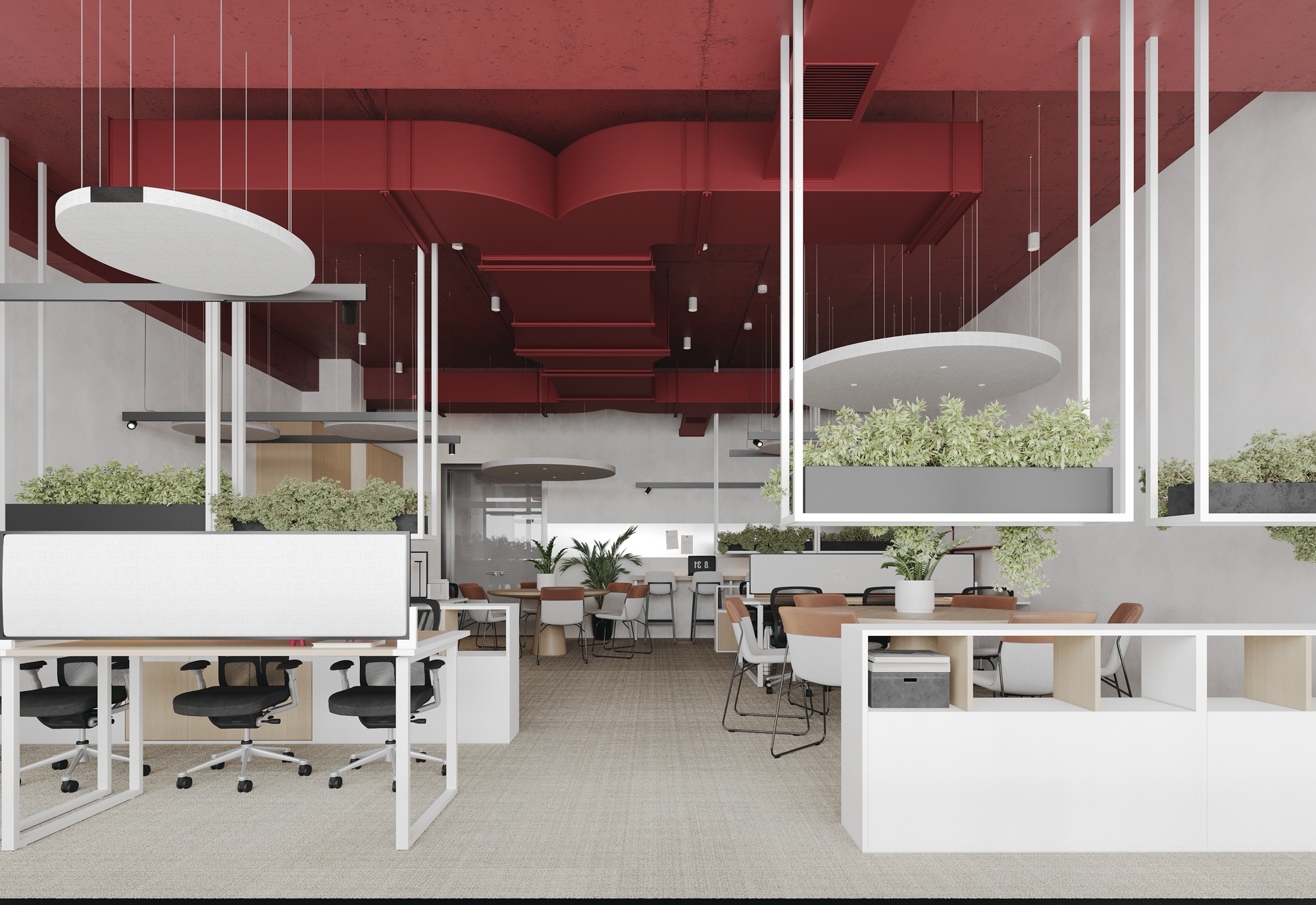 Co-working MCA